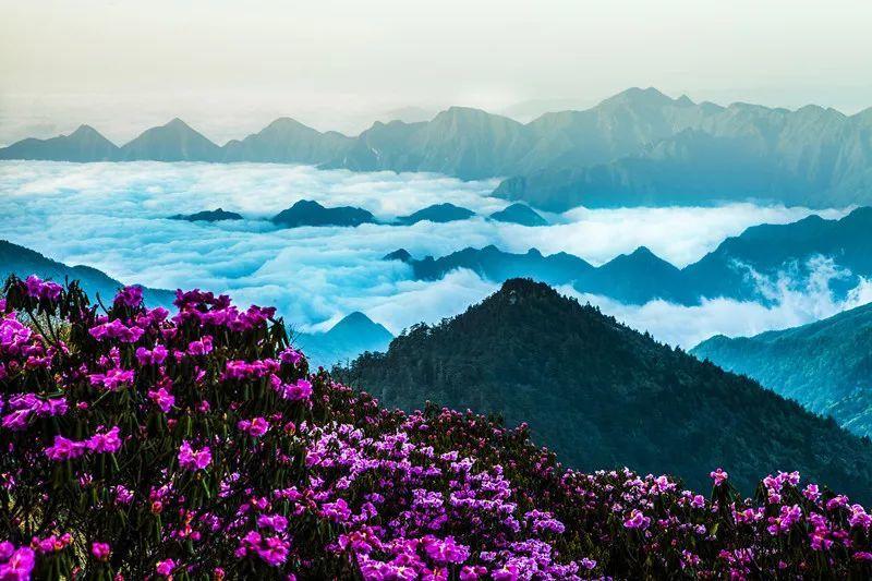 马克思佩恩3